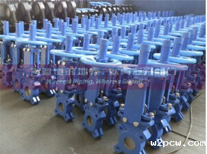 《刀闸阀》成功者的选择